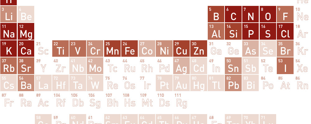 Wie wirkt sich der Stein chemisch auf den Wein aus?