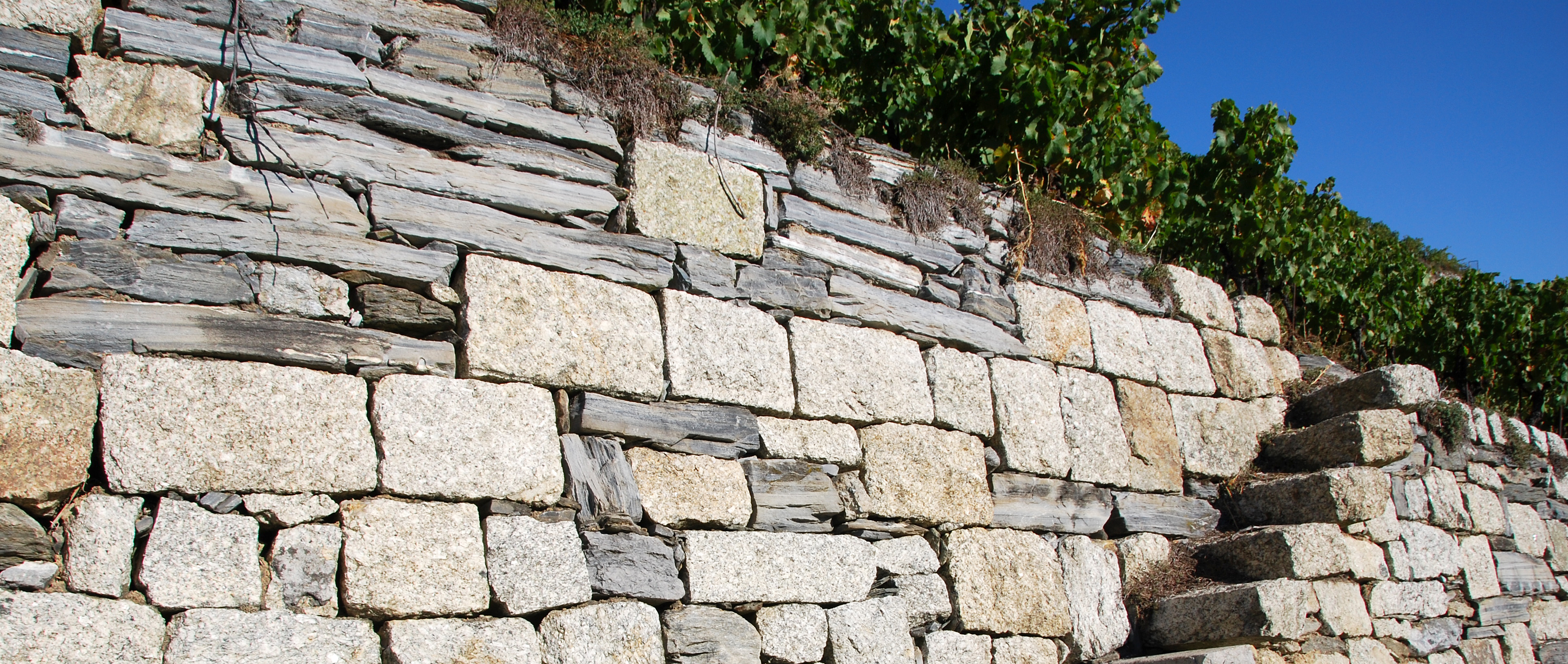Was sind weitere Einflüsse von Stein auf Wein?