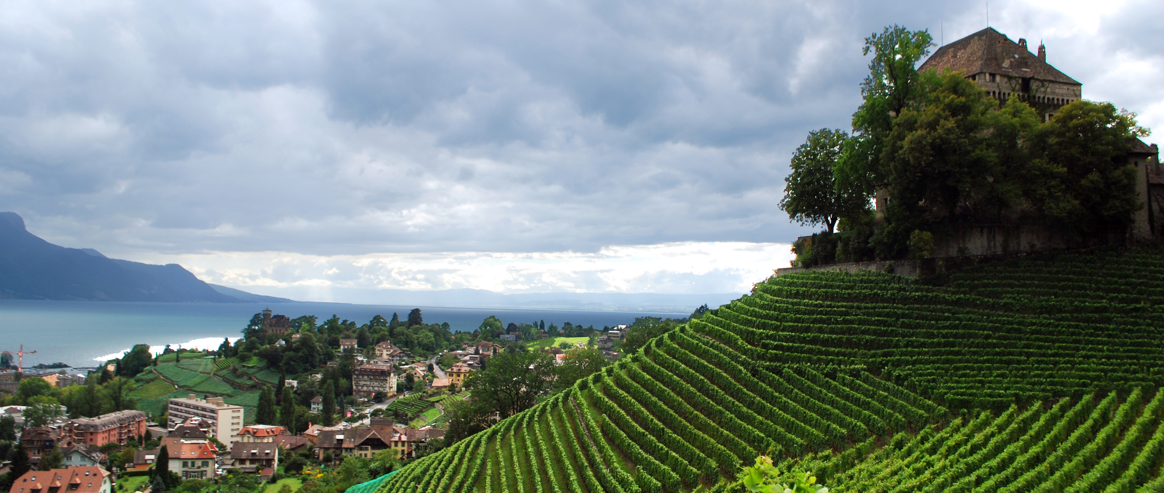 Welche Schweizer Rebberge sind einen Ausflug wert?